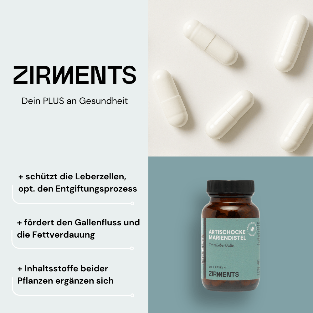 ARTISCHOCKE MARIENDISTEL